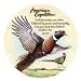 American Expedition Pheasant Stone Coasters (4)