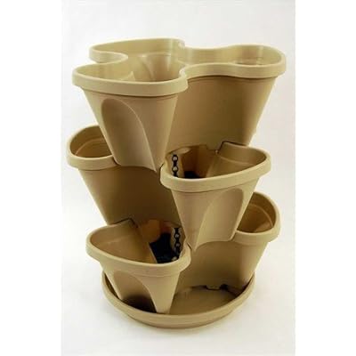 Grow   Herb on Make Your Own Indoor Garden