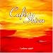 Cafe Ibiza Vol.8