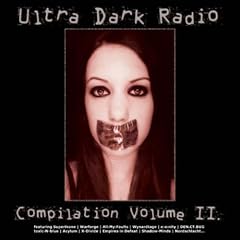 Ultra Dark Radio-Compilation II