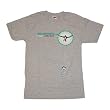 THE RECEIVING END OF SIRENS - Kite - Gray T-shirt