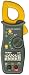 True RMS AC/DC Clamp Meter with Temperature Probe