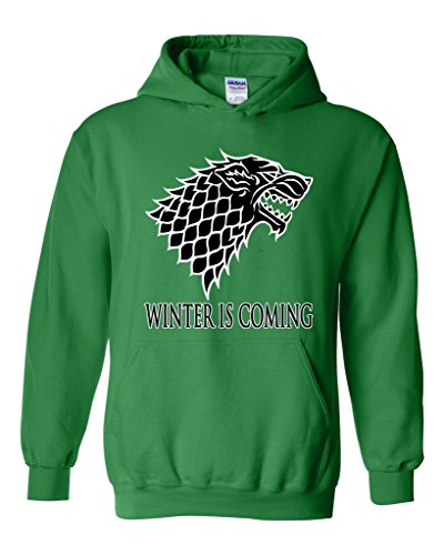 Artix Winter is Coming Unisex Hoodie Sweatshirt