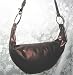 Fashion Express Bronze Lg Hobo Handbag