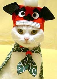 キャットプリン 獅子舞にゃんに変身セット