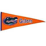Florida Gators Traditions Wool Pennant
