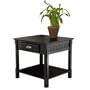 Winsome Wood 20124 Timber End Table, Black