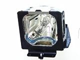 SANYO PLC-SE20 Replacement Projector Lamp 610-311-0486 / LMP66