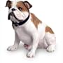 Bulldog 16.5"X13" Figurine