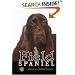 Field Spaniel (Rare Breed)