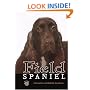 Field Spaniel (Rare Breed)