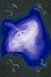 Art Poster, Crab Nebula - 18.75 x 27.5