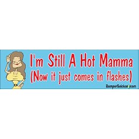 I'm still a hot momma now it just comes in flashes - Refrigerator Magnets 7x2 in