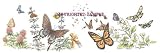 Butterflies - Drawing by Cindy Farmer