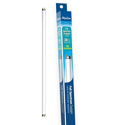 Aqueon Fish Aquarium Lights T8 Lamp, Daylight, 36-inch, 25 Watt