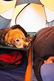 Dog and Person inside Tent - 18
