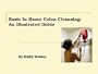 Basic In-Home Colon Cleansing: An Illustrated Guide