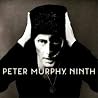 Bild des Albums von Peter Murphy