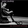 Image of album by Peter Mulvey