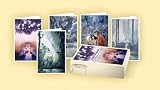 Neil Gaiman & Charles Vest Stardust Notecards