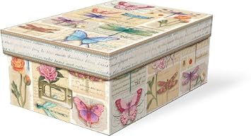 Punch Studio Dragonflies Decorative Photo Storage Box