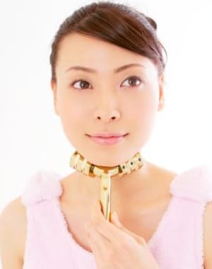 Y型美容ローラー―顔もボディも引き上げる！ (主婦の友生活シリーズ)