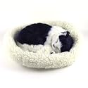 Japanese Bobtail - Pet Mate / Nap Lifelike Sleeping Kitten Breathing Cat w / Bed