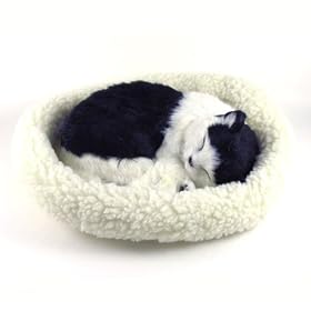 Japanese Bobtail - Pet Mate Nap Lifelike Sleeping Kitten Breathing Cat w Bed by 