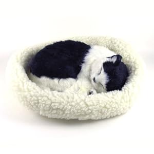 Japanese Bobtail - Pet Mate Nap Lifelike Sleeping Kitten Breathing Cat w Bed by
