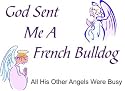 French Bulldog - God Sent Me A French Bulldog Apron