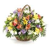 Outdoor Living : Fresh and fragrant Freesia basket - Send Traditional Bouquet of Fresh Flowers Beautiful Floral Gift