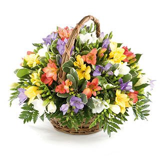 Fresh and fragrant Freesia basket - Send Traditional Bouquet of Fresh Flowers Beautiful Floral Gift