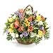 Fresh and fragrant Freesia basket - Send Traditional Bouquet of Fresh Flowers Beautiful Floral Gift