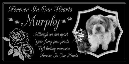 12 x 6 Lazer Gifts Personalized Black Granite Pet Memorial Marker Style Murphy