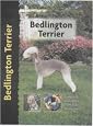 Bedlington Terrier (Dog Breeds)