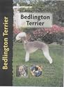 Bedlington Terrier (Pet Love)