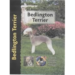 Bedlington Terrier (Pet Love)