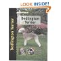 Bedlington Terrier (Pet Love)