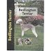 Bedlington Terrier (Pet Love)
