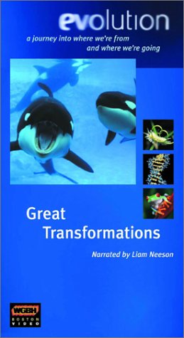 Evolution: Great Transformations