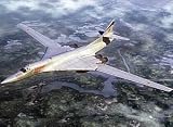 Trumpeter 3906 - Tupolev Tu-160 Black Jack Bomber