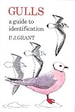 Gulls: A Guide to Identification