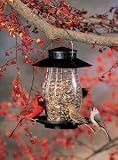 Lantern Feeder