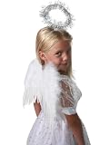 fairy wings for halloween
