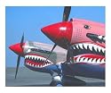 2 p-40's - Tiger's Teeth Photographic Poster Print by BuffaloWorks, 20x16