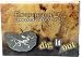 Dinosaur Fossil Excavation Kit