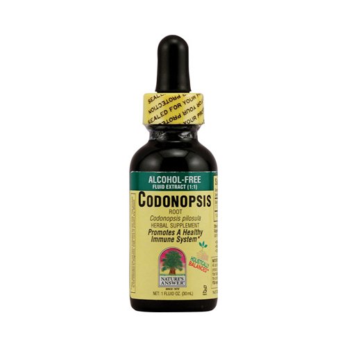 New - Nature's Answer Alcohol Free Codonopsis - 1 oz