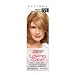 Clairol Natural Instincts Loving Care Color, 725 Medium Golden Blonde (Pack of 3)