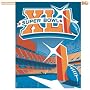 Super BOWL XLI 41 NFL South Florida 2007 House FLAG or BANNER