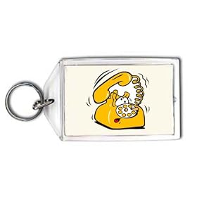 Telefono (email: Frollandin@email.it) Keychain